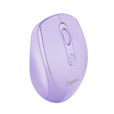 Cliptec RZS648 Dual Mode 1600DPI Rechargeable Silent Wireless Mouse
